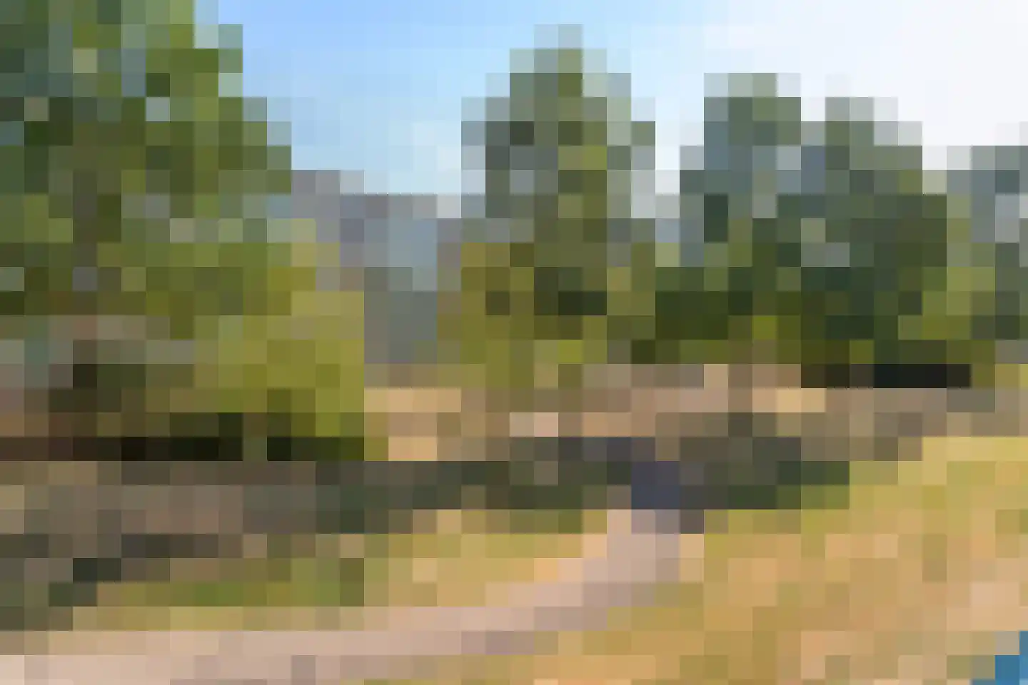 Dennenschans 8 Leiderdorp thumbnail 29