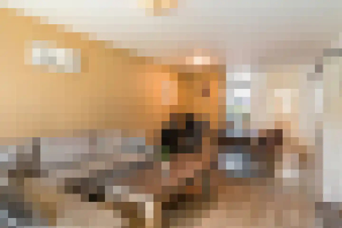 Dennenschans 8 Leiderdorp thumbnail 9