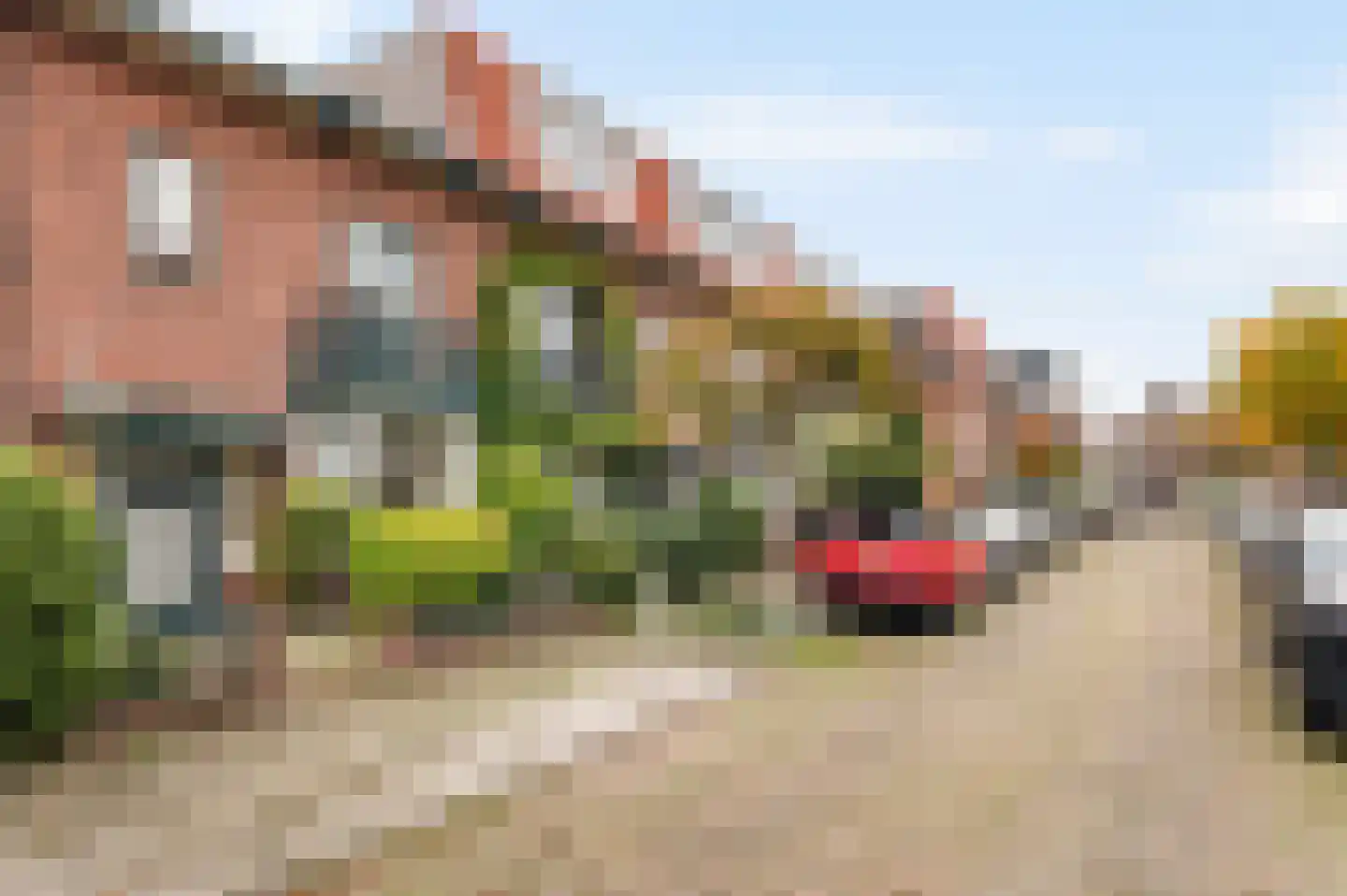 Dennenstraat 12 Haarlem thumbnail 6