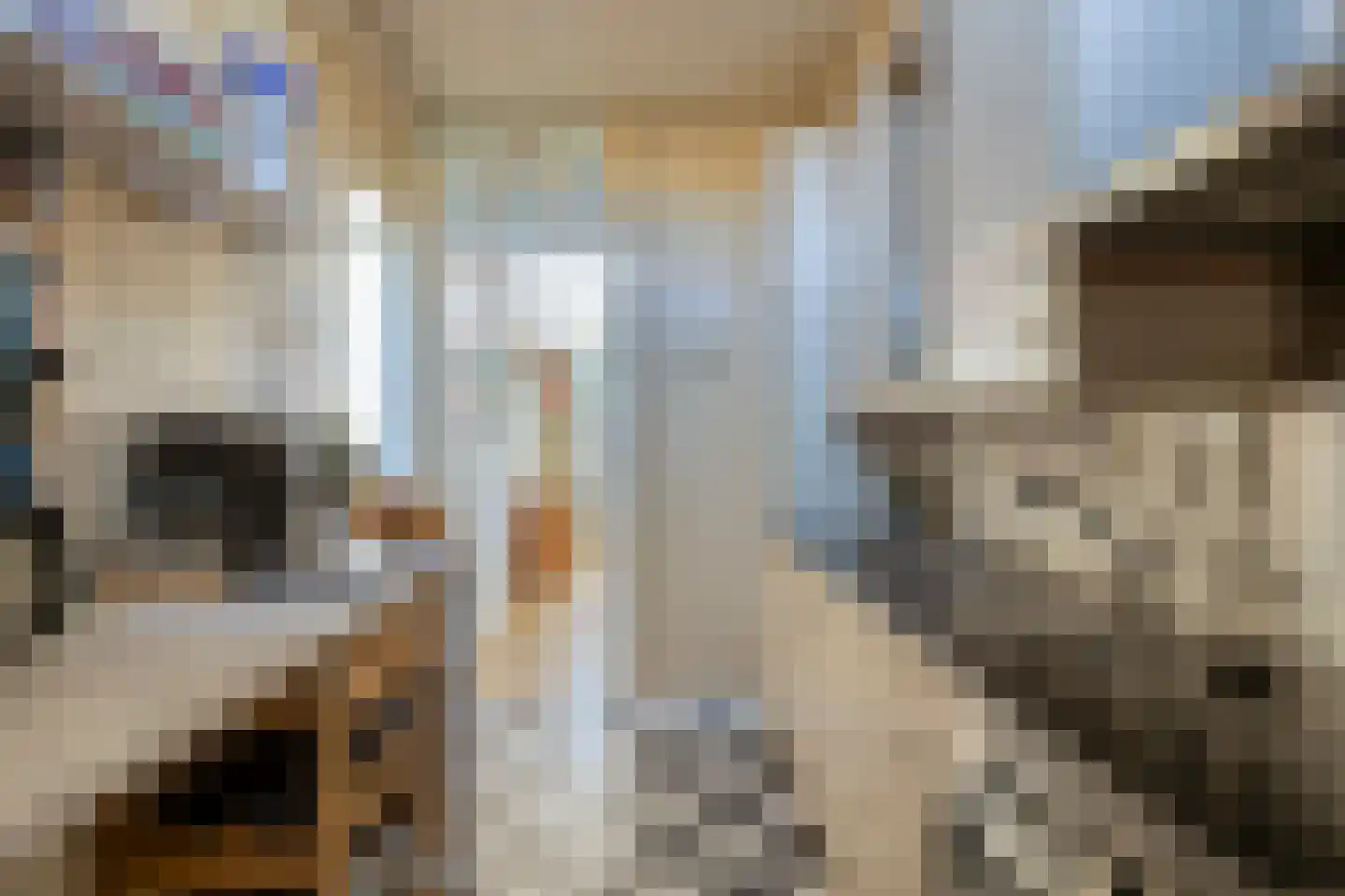 Dennenstraat 16 Tilburg thumbnail 18
