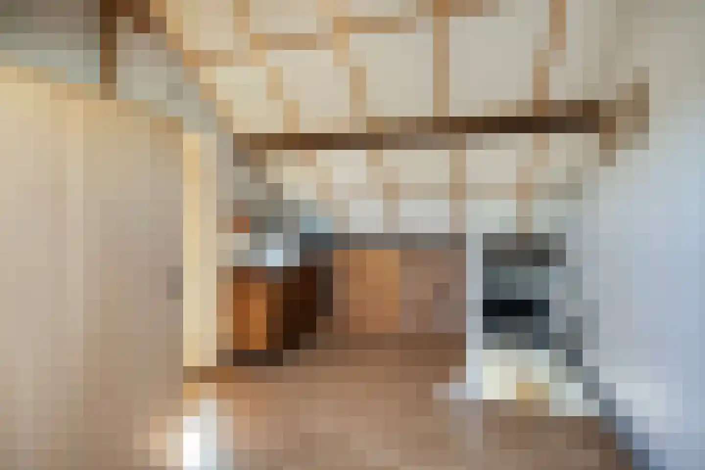 Dennenstraat 16 Tilburg thumbnail 39