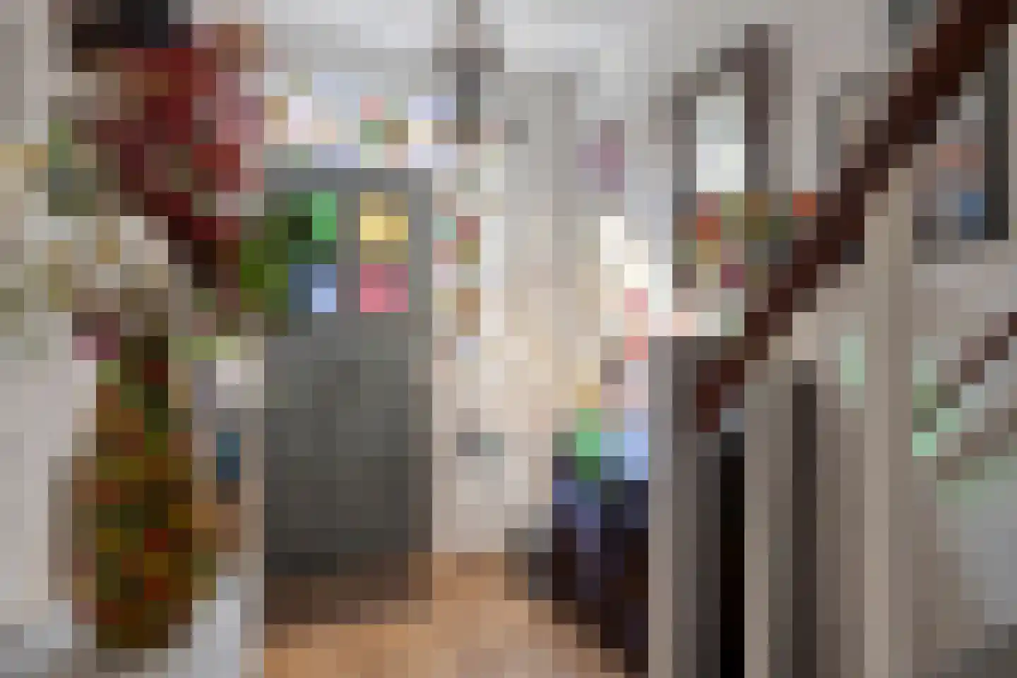 Dennenstraat 16 Tilburg thumbnail 7