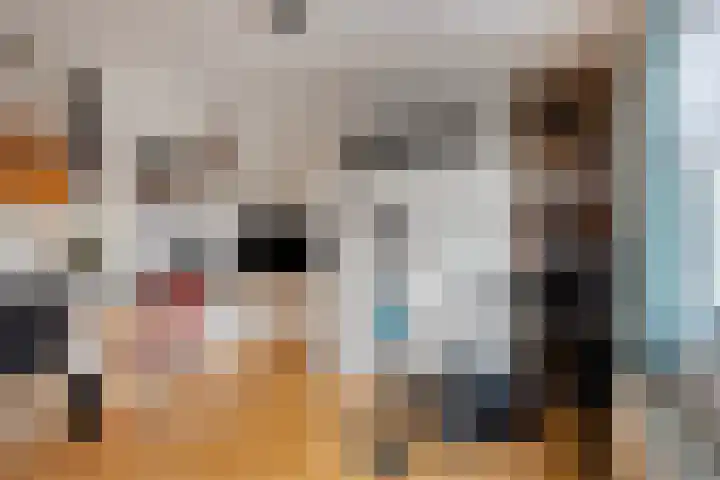 Dennenstraat 18 Tilburg thumbnail 19