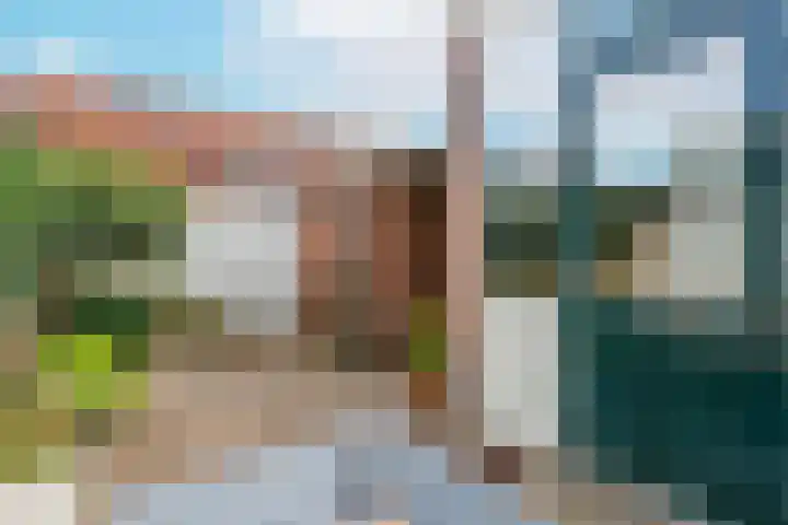 Dennenstraat 21 Utrecht thumbnail 25