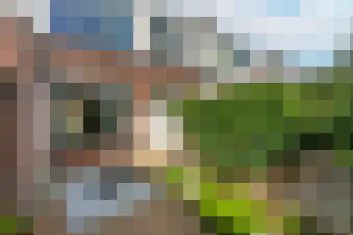 Dennenstraat 21 Utrecht thumbnail 27