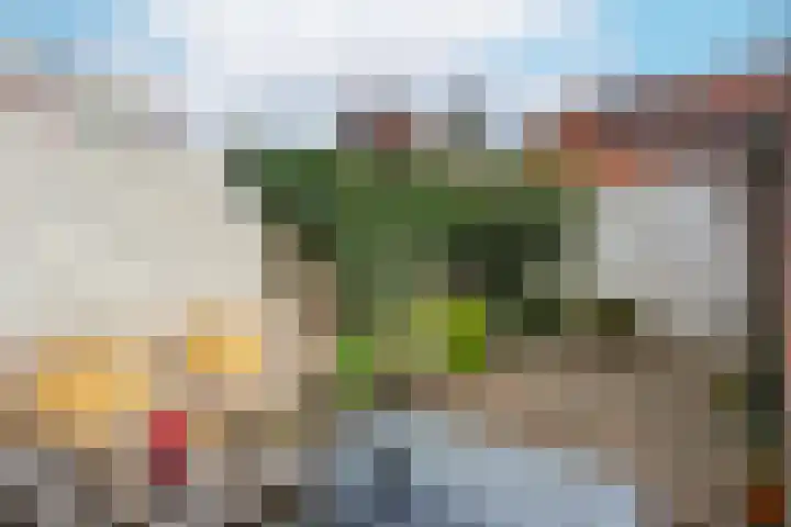 Dennenstraat 21 Utrecht thumbnail 5