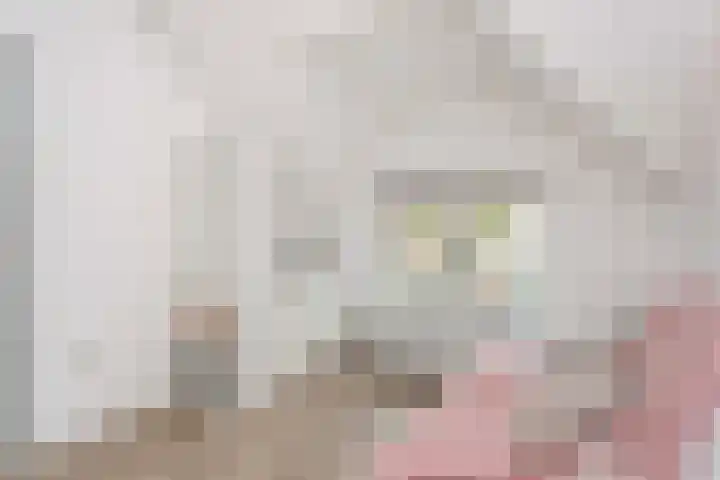 Dennenstraat 21 Utrecht thumbnail 7