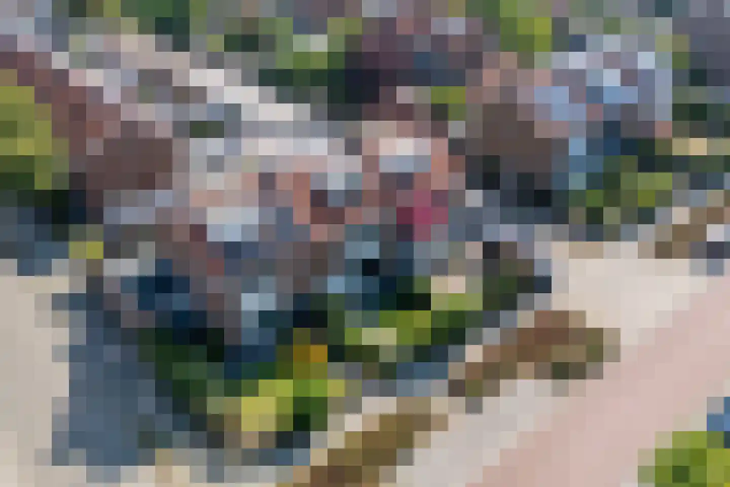 Dennenstraat 22 Nijmegen thumbnail 45