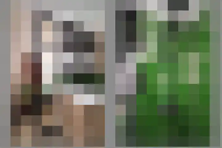 Dennenstraat 23 Ridderkerk thumbnail 31