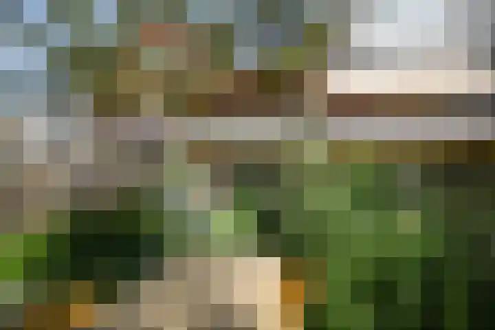 Dennenstraat 23 Ridderkerk thumbnail 32