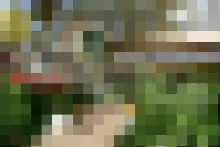 Dennenstraat 23 Ridderkerk thumbnail 33