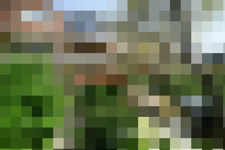 Dennenstraat 23 Ridderkerk thumbnail 34