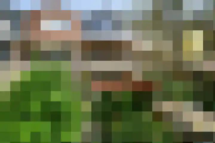 Dennenstraat 23 Ridderkerk thumbnail 35
