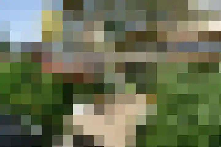 Dennenstraat 23 Ridderkerk thumbnail 36