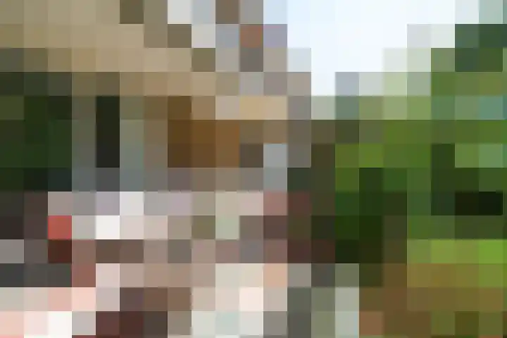 Dennenstraat 23 Ridderkerk thumbnail 37