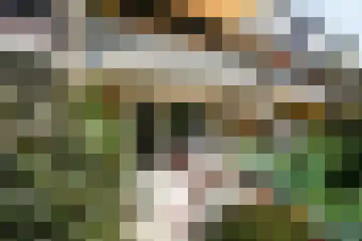 Dennenstraat 23 Ridderkerk thumbnail 38
