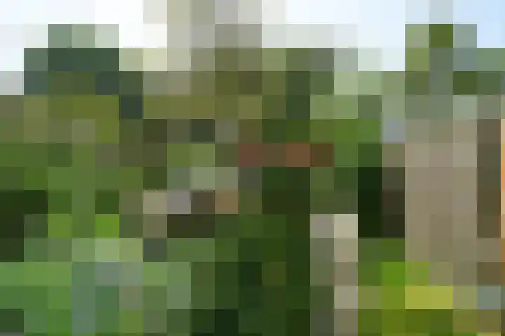 Dennenstraat 23 Ridderkerk thumbnail 40