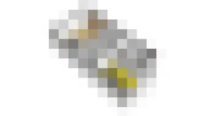 Dennenstraat 23 Ridderkerk thumbnail 43