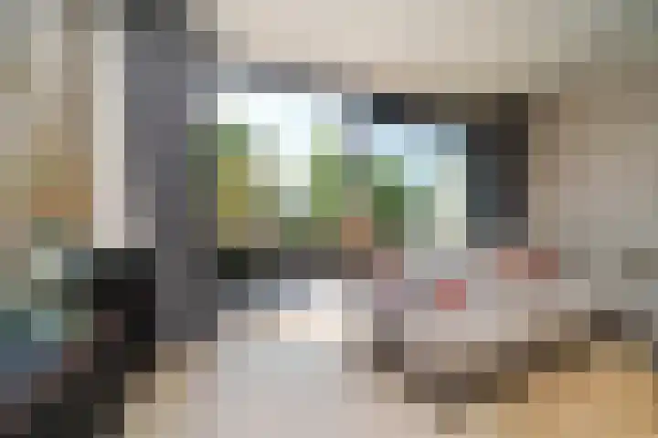 Dennenstraat 23 Ridderkerk thumbnail 8