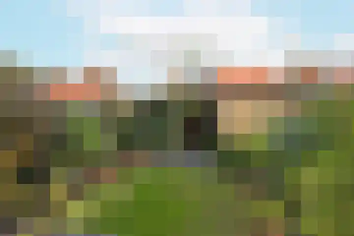 Dennenstraat 29 Den Helder thumbnail 4