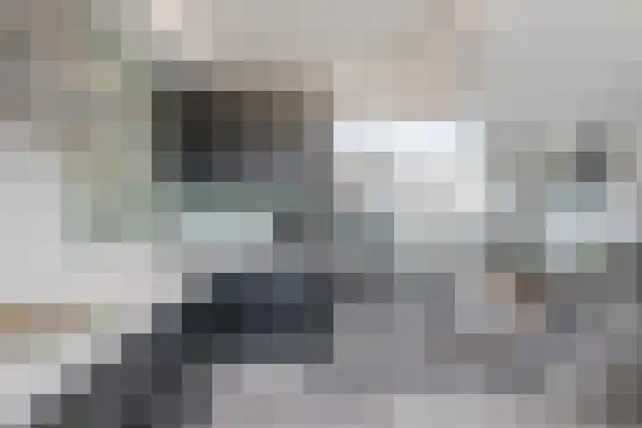 Dennenstraat 29 Den Helder thumbnail 8