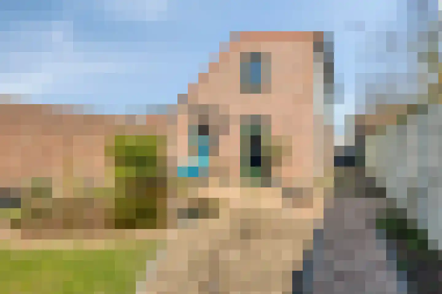 Dennenstraat 38 Nijmegen thumbnail 38