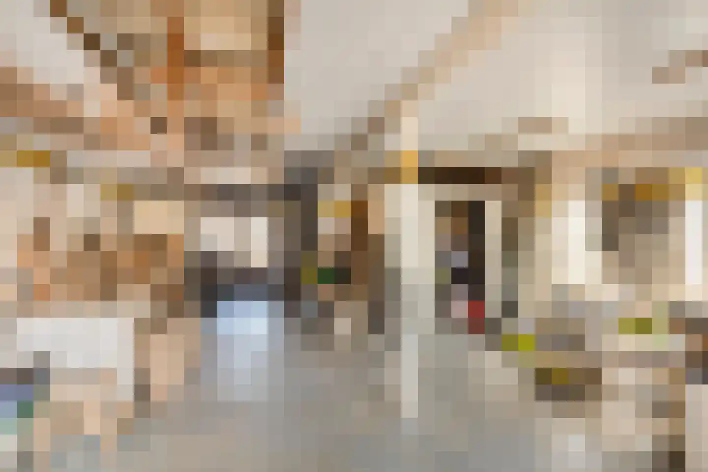 Dennenstraat 38 Nijmegen thumbnail 39