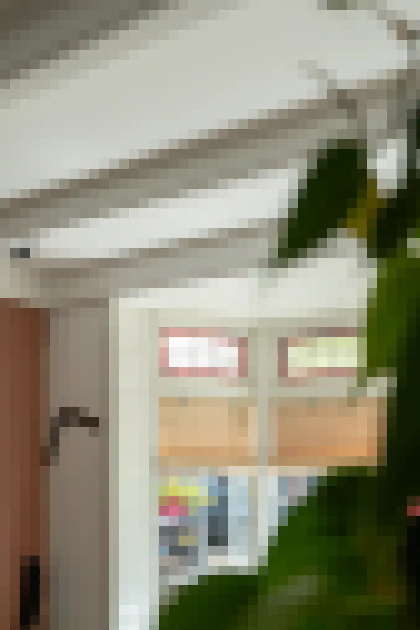Dennenstraat 4 Haarlem thumbnail 10