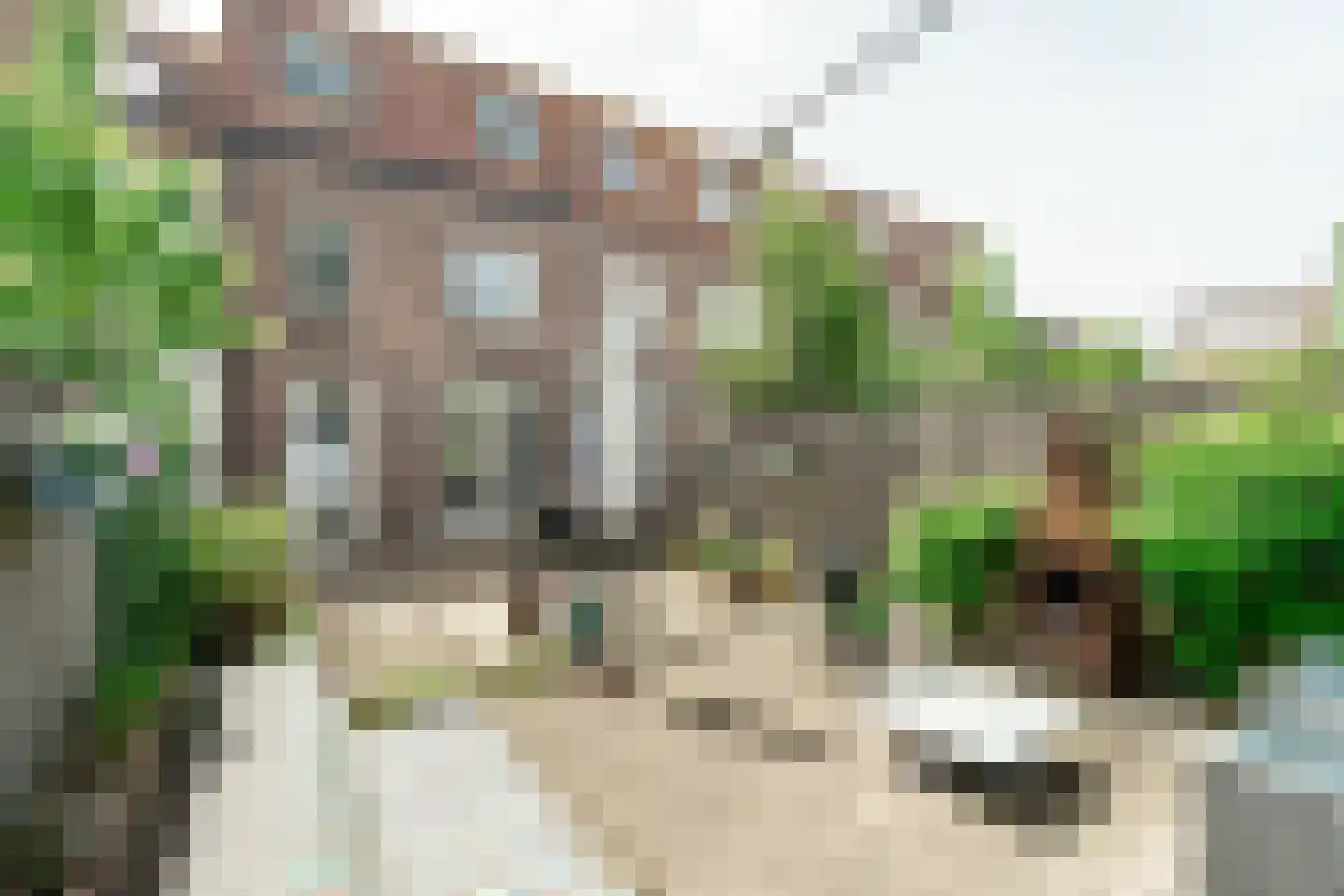 Dennenstraat 4 Haarlem thumbnail 17