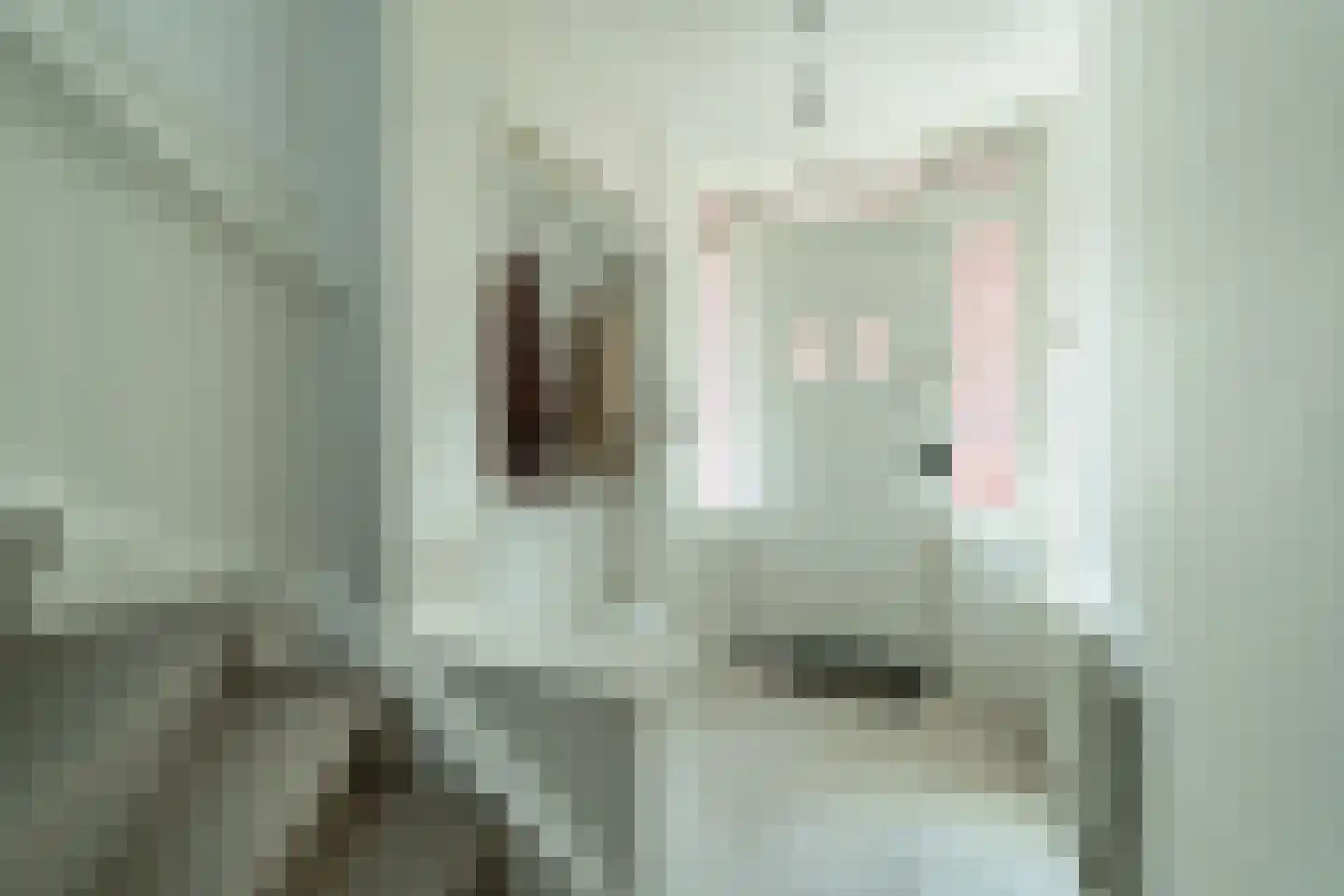 Dennenstraat 4 Haarlem thumbnail 19