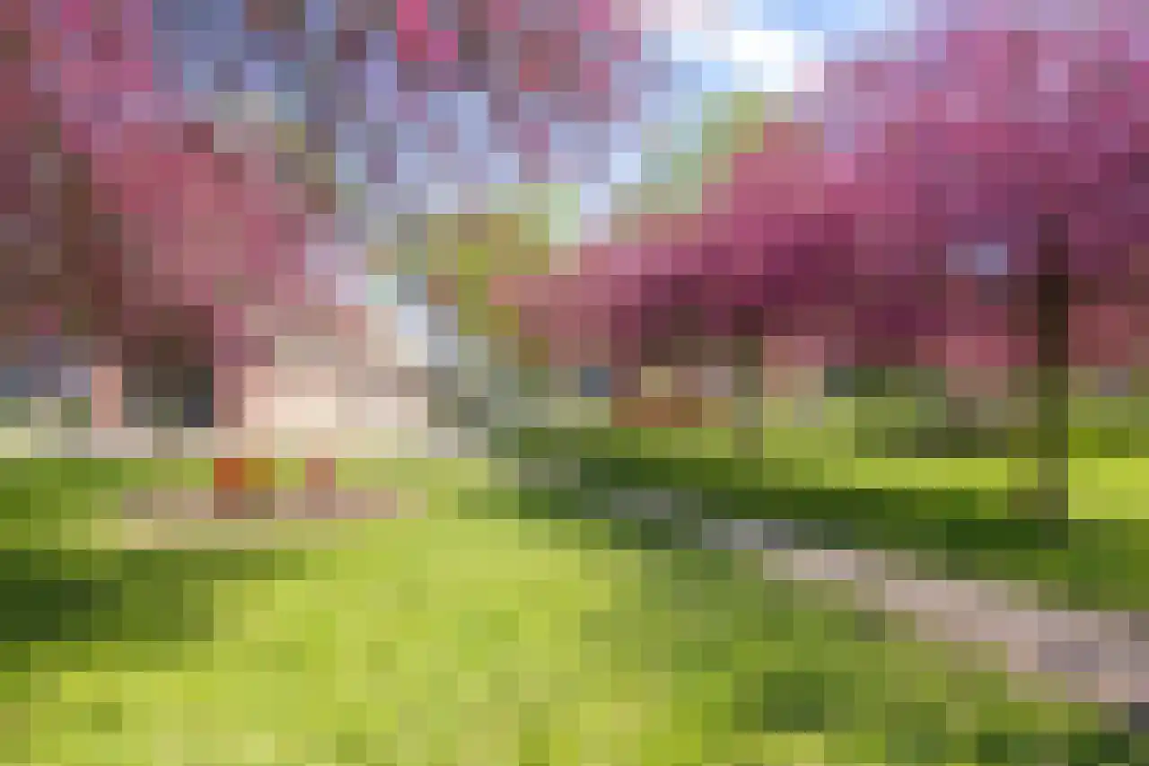 Dennenstraat 4 Haarlem thumbnail 34