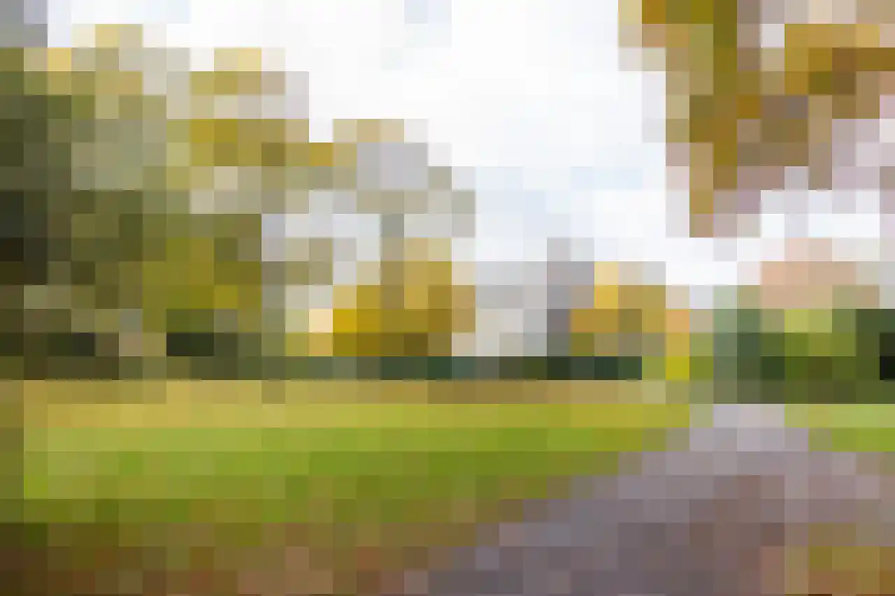 Dennenstraat 4 Haarlem thumbnail 36