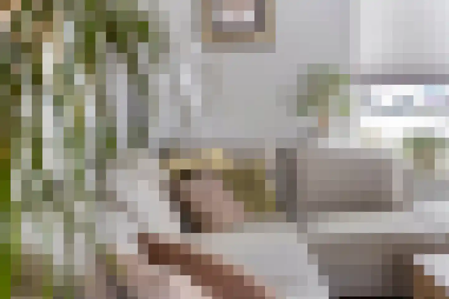 Dennenstraat 4 Millingen aan de Rijn thumbnail 10