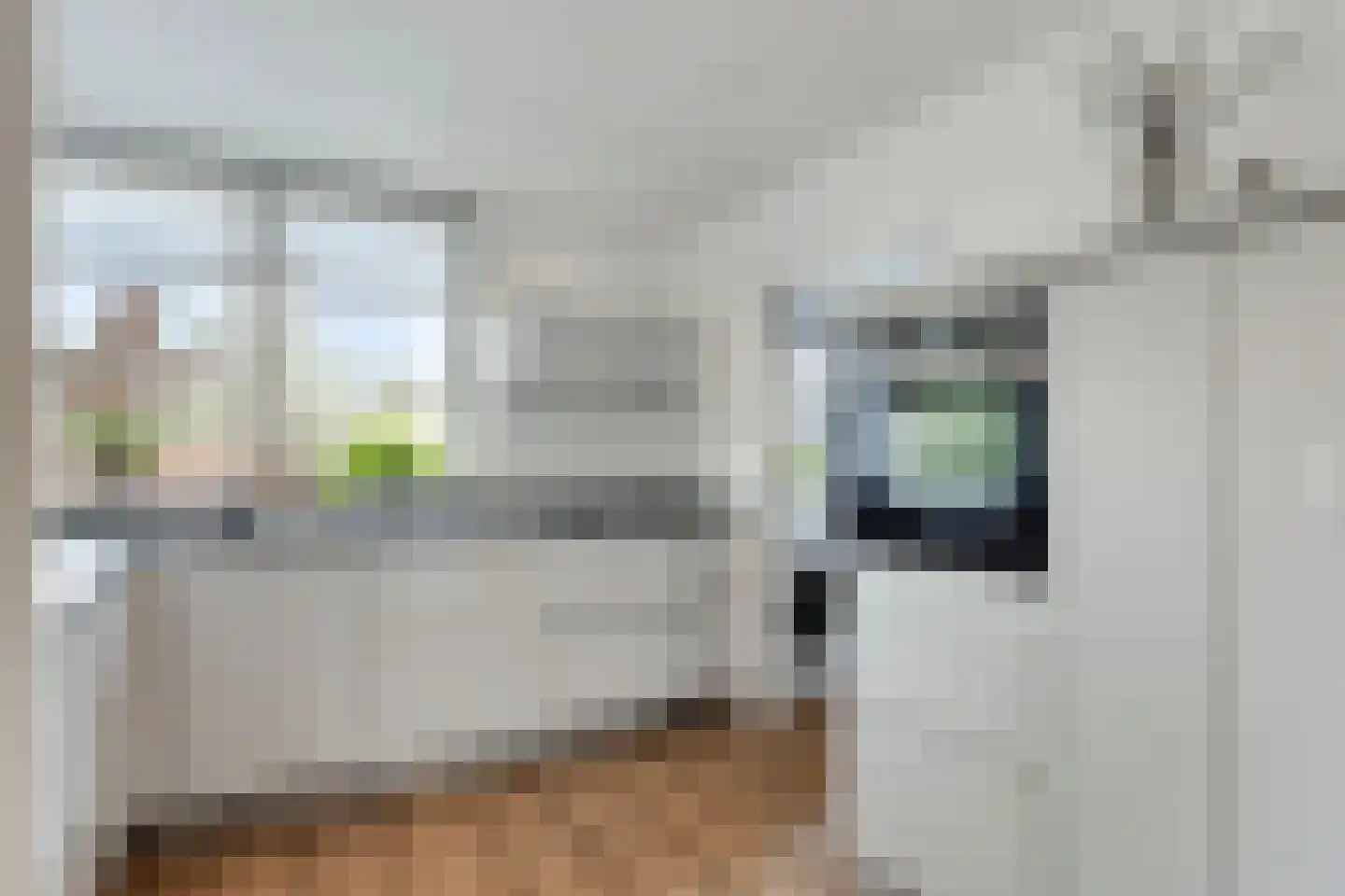 Dennenstraat 4 Millingen aan de Rijn thumbnail 12