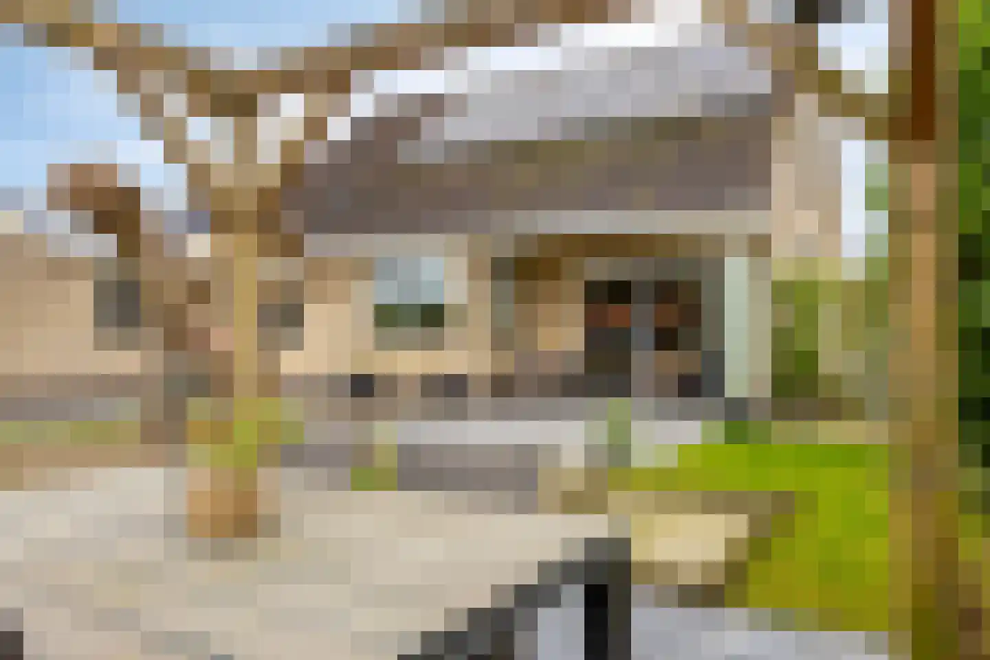 Dennenstraat 4 Millingen aan de Rijn thumbnail 31