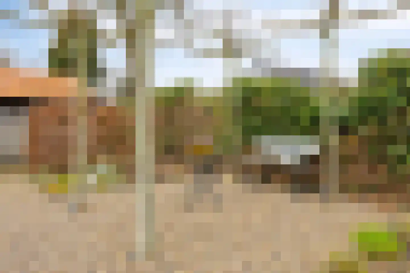 Dennenstraat 4 Millingen aan de Rijn thumbnail 34