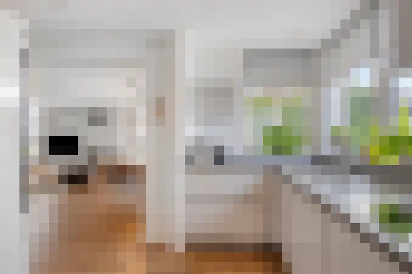 Dennenstraat 4 Millingen aan de Rijn thumbnail 4