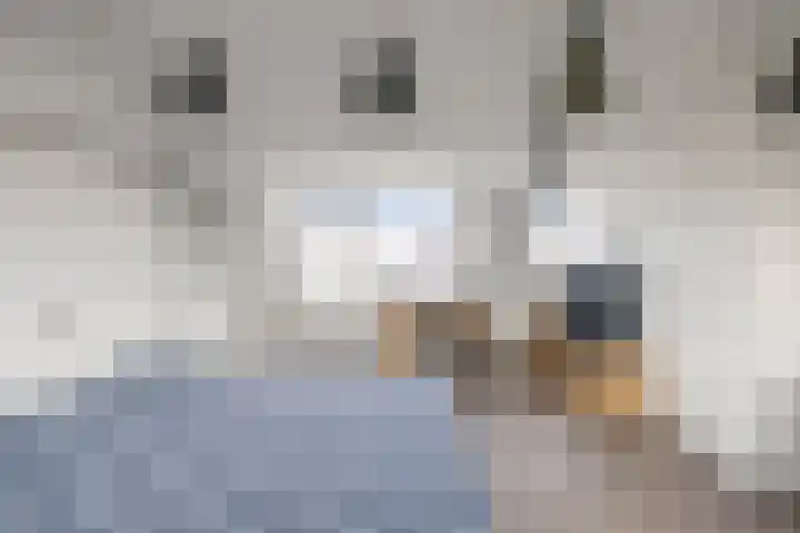 Dennenstraat 8 Den Helder thumbnail 21