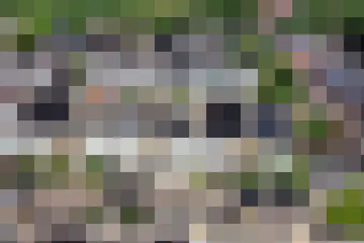 Dennenstraat 8 Den Helder thumbnail 4