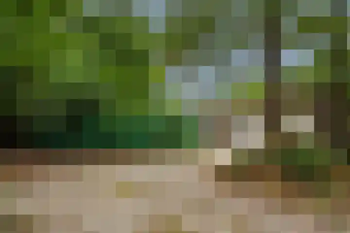 Dennenveld 16 Deurne thumbnail 28