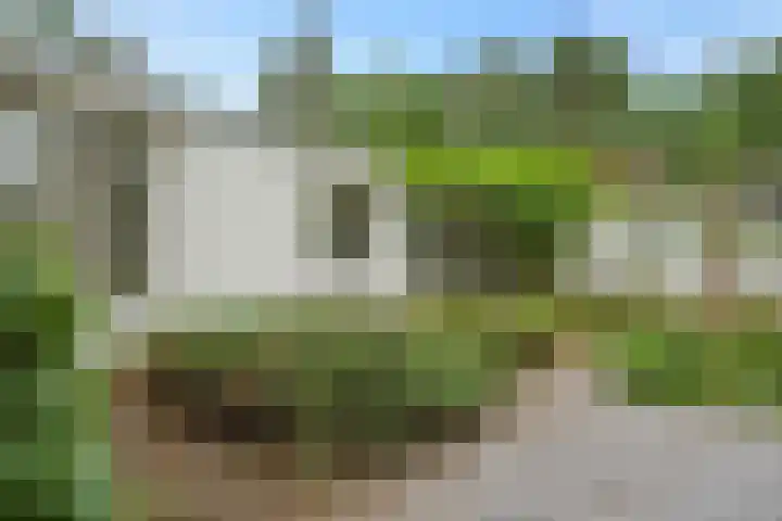 Dennenveld 16 Deurne thumbnail 35