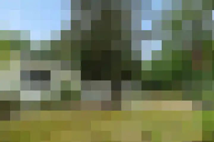 Dennenveld 16 Deurne thumbnail 36