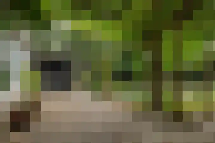 Dennenveld 16 Deurne thumbnail 37