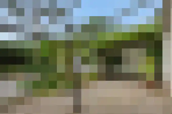 Dennenveld 16 Deurne thumbnail 38
