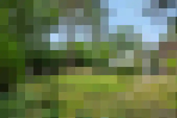Dennenveld 16 Deurne thumbnail 39