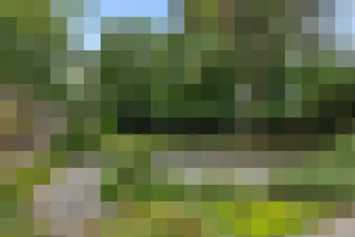 Dennenveld 16 Deurne thumbnail 4