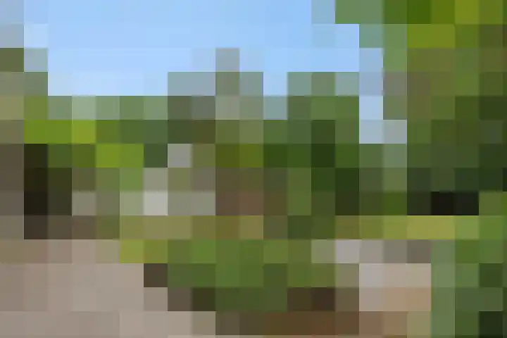 Dennenveld 16 Deurne thumbnail 40