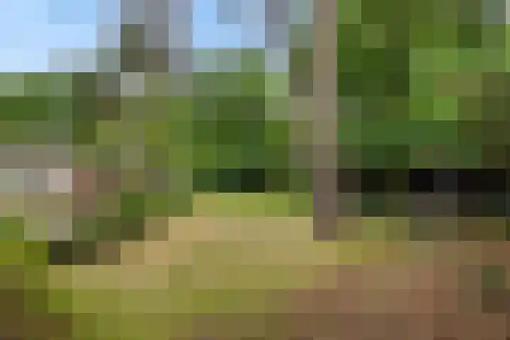 Dennenveld 16 Deurne thumbnail 41