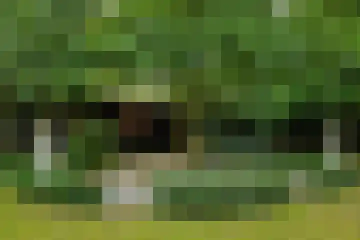 Dennenveld 16 Deurne thumbnail 42