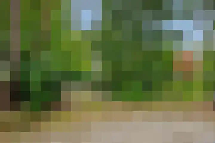 Dennenveld 16 Deurne thumbnail 44
